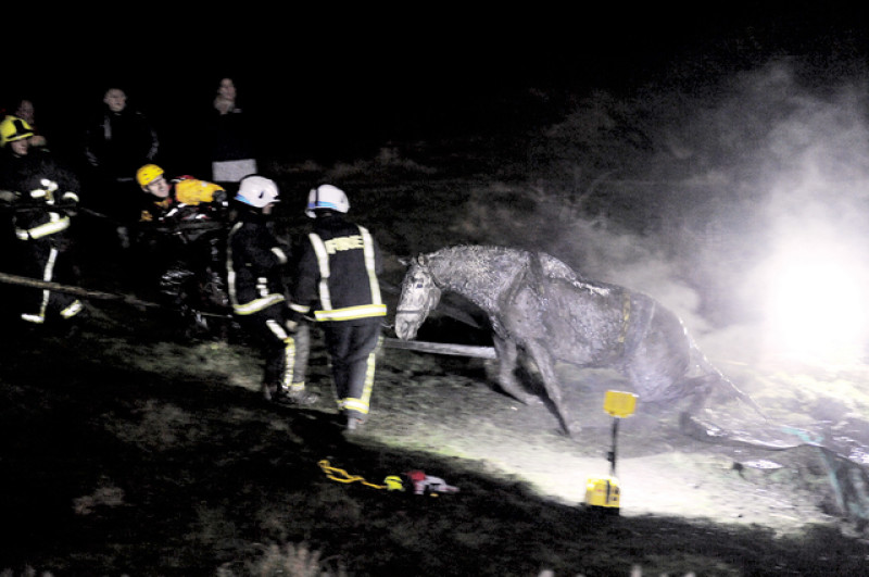 Main image for Firemen rescue horse from bog