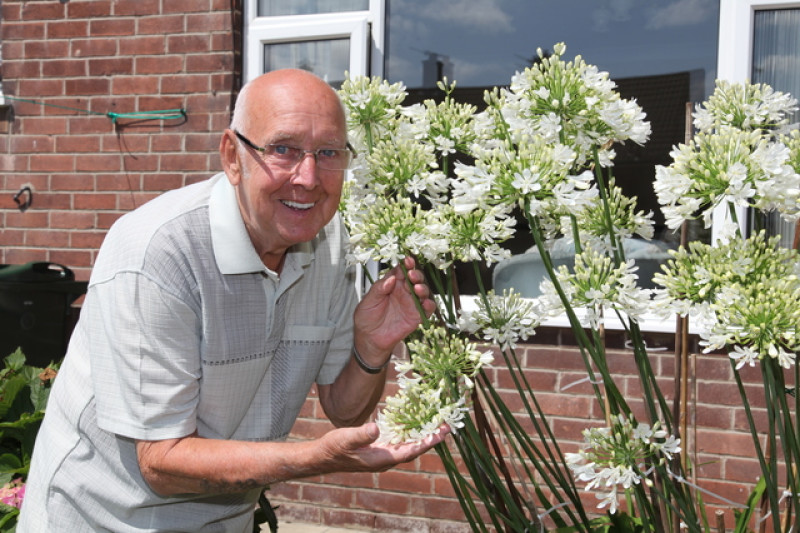 Main image for Green-fingered gardener celebrates mammoth flower crop