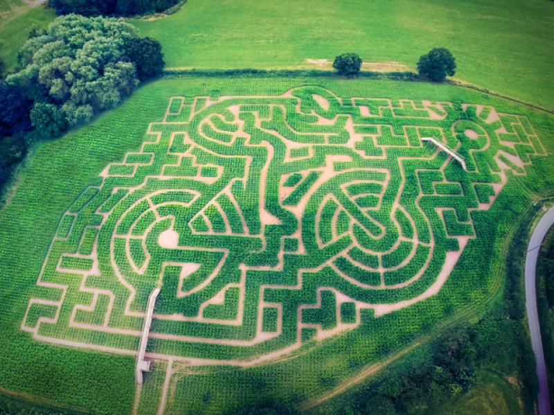 Main image for Drone pictures of Maize Maze wows owners
