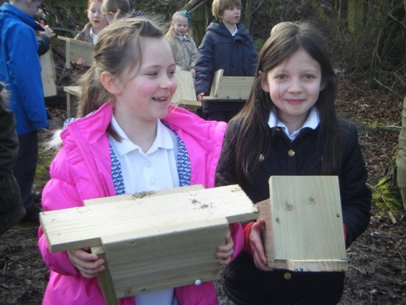 Main image for Springwatch plan for Tankersley School