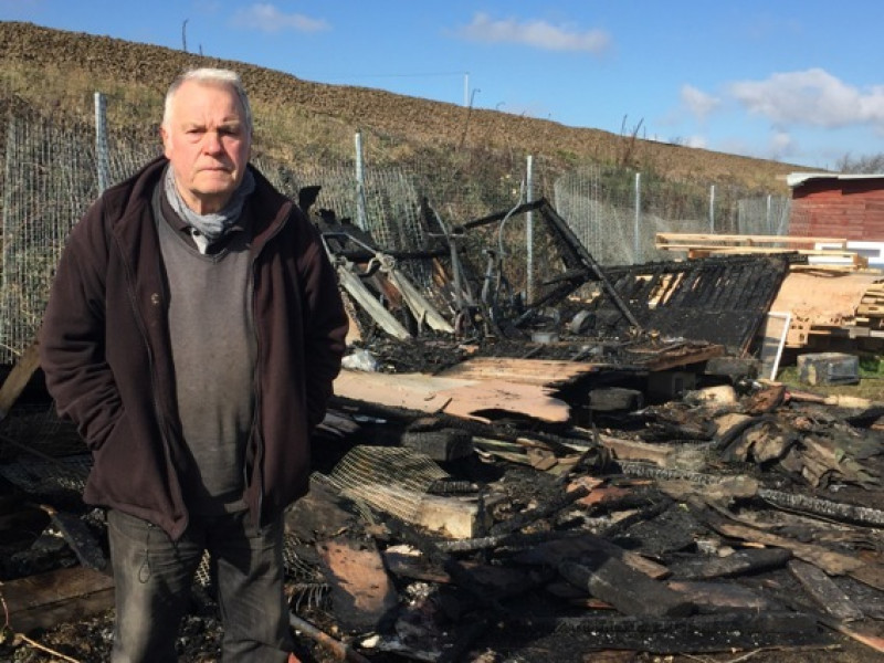Main image for Arson attack destroys allotments