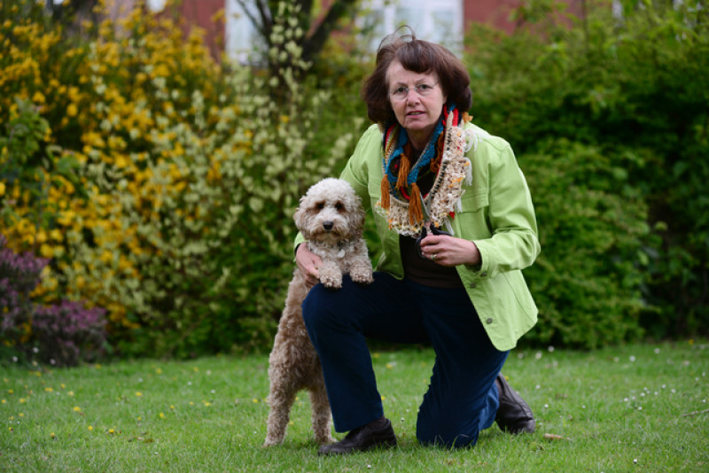 Main image for Dog owner slapped with fine
