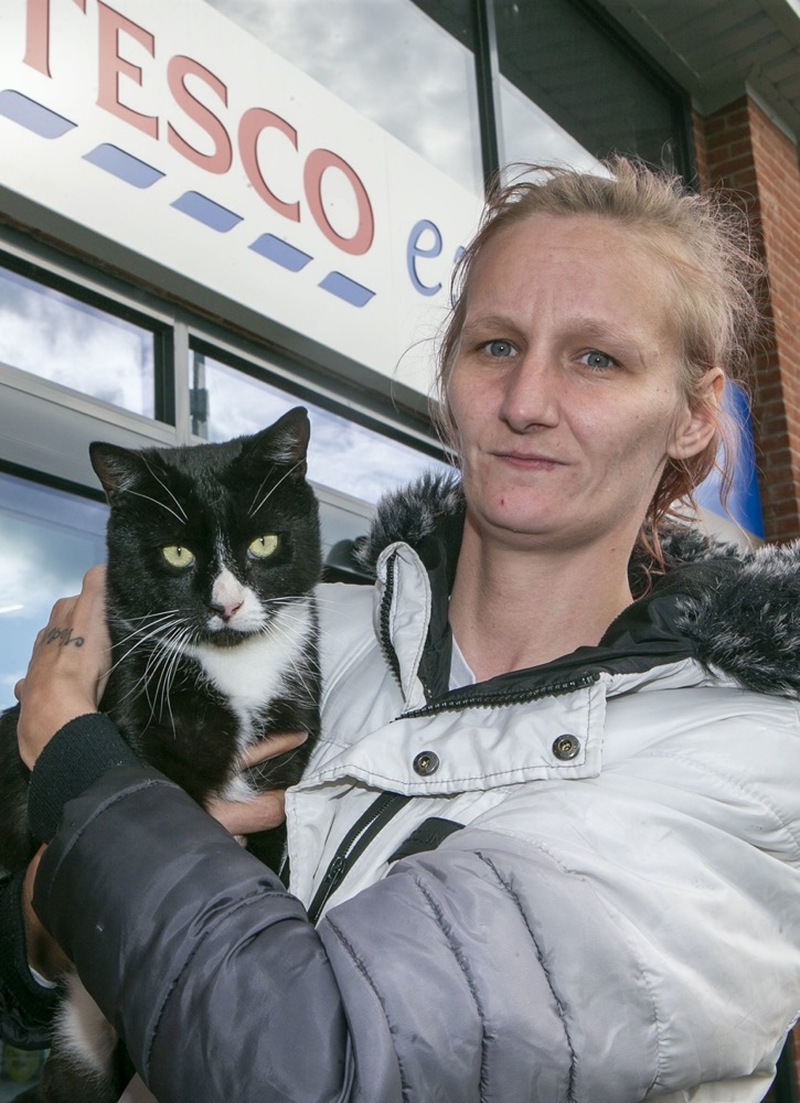 Main image for Fury over popular cat’s abuse