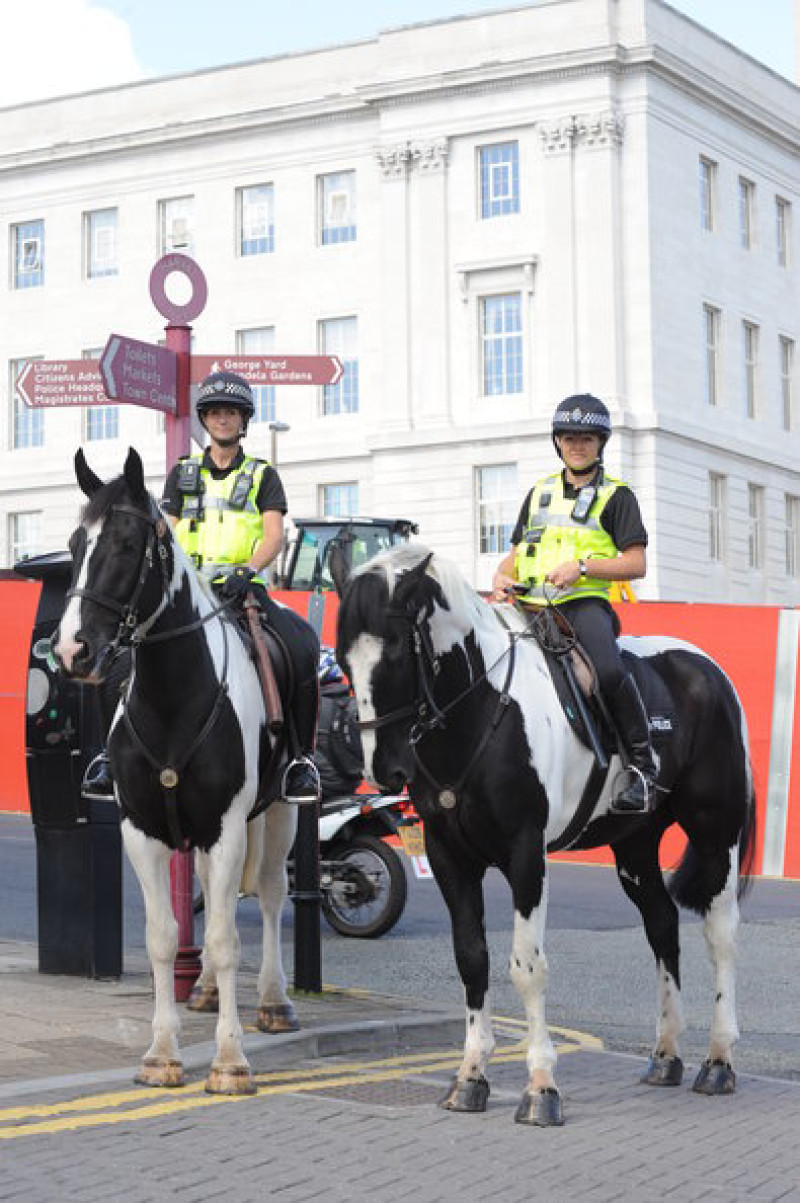 Main image for Mounted police section under threat from cuts