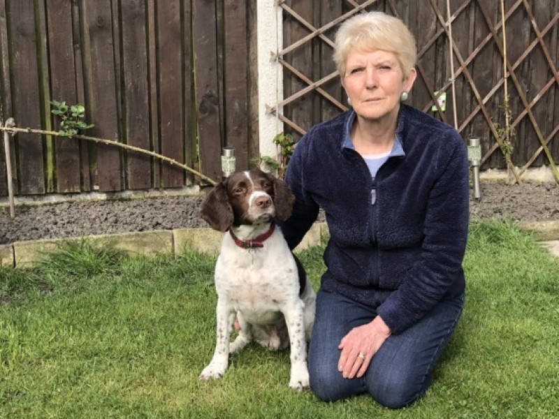 Woman hits out at dog fouling fine Barnsley Chronicle