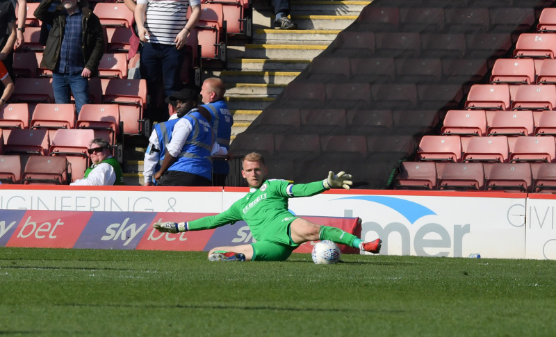 Main image for Stendel praises 'best goalkeeper in league' after Shrewsbury win 