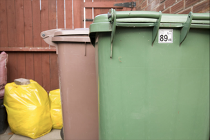 Main image for Council set to spend £100,000 extra on bins