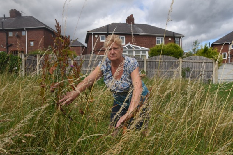 Main image for Resident hits out at long grass