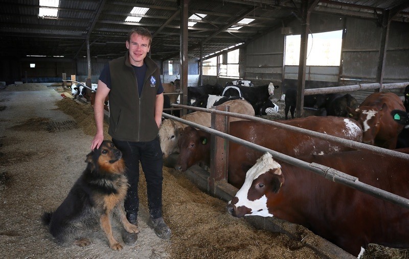 Main image for Farmer up for top industry award