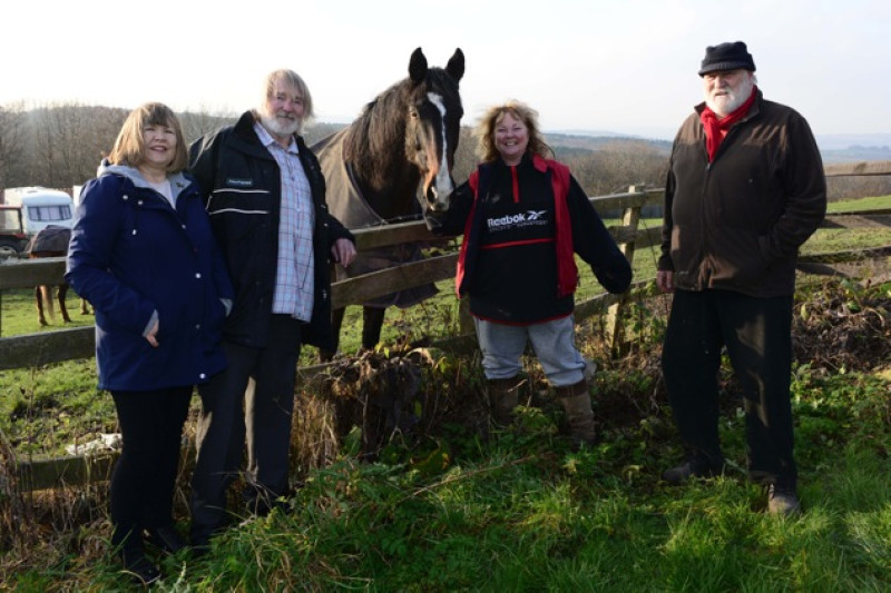 Main image for Couple donate money to save couple’s horses