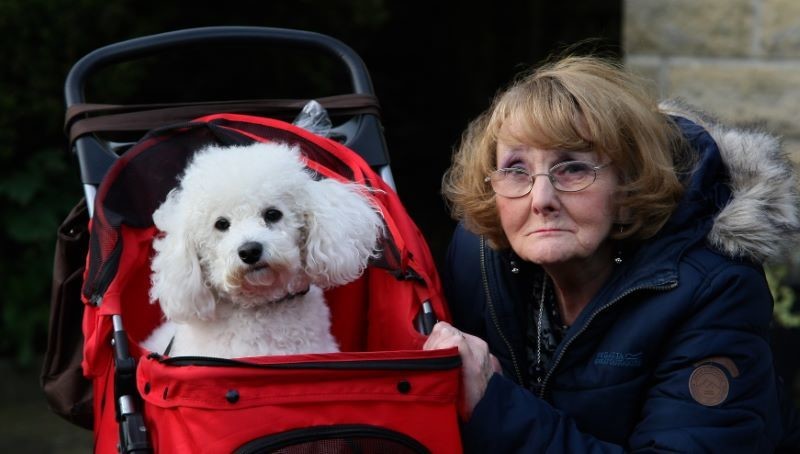 Main image for Dog in pram not welcome at Barnsley Market