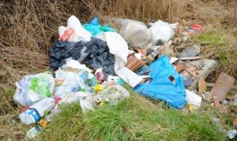 Main image for Fly tipping sets alarm bells ringing
