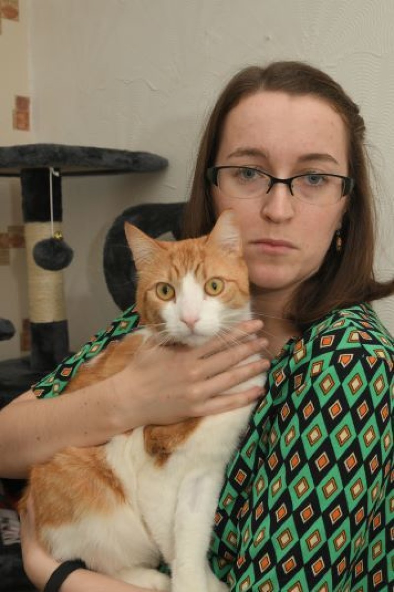 Main image for Cat owner hit with huge bill
