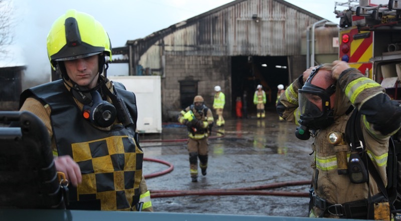 Main image for Fire crews rescue animals from blaze