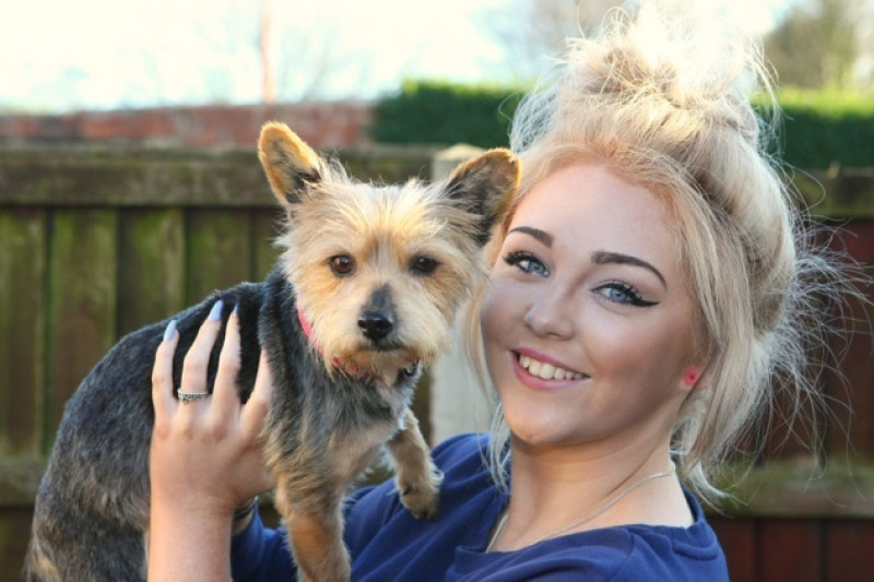 Main image for Pet pooch returns after four years missing