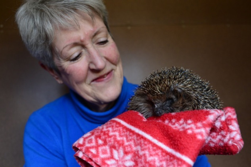 Main image for Prickly friends for Cawthorne couple