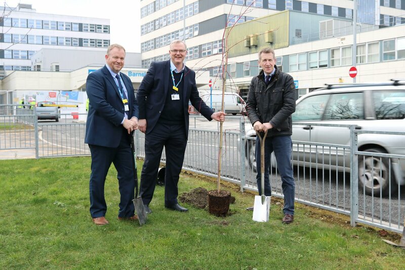 Main image for Tree-planting scheme stops off at hospital