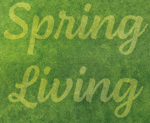Main image for Wanting to promote Spring offers for your business?