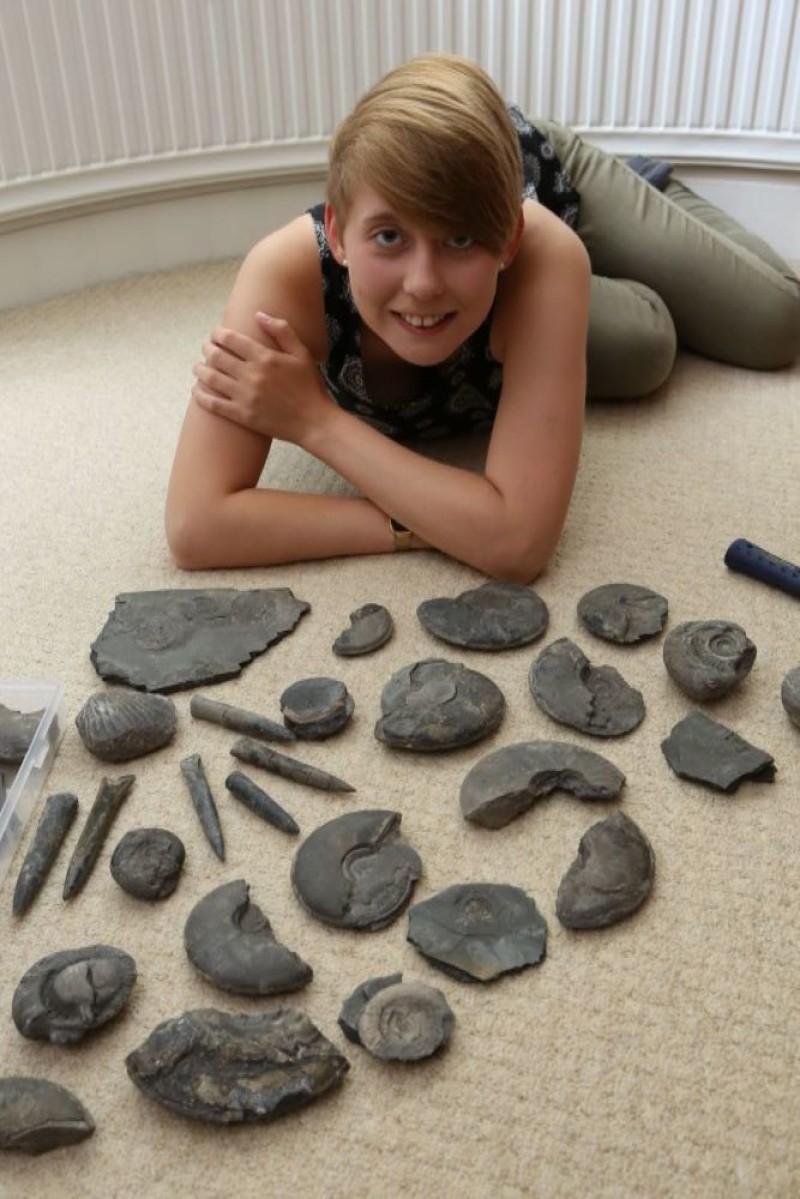Main image for Emily planning a walk with dinosaurs...