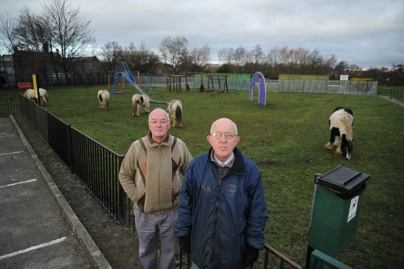 Main image for Horseplay causing chaos in village