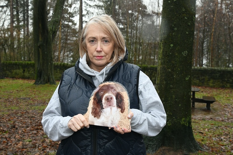 Main image for Community spirit shines in search for missing dog