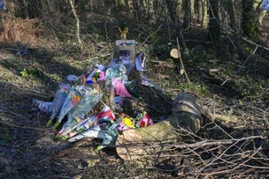 Main image for Pleas for action on fatal road