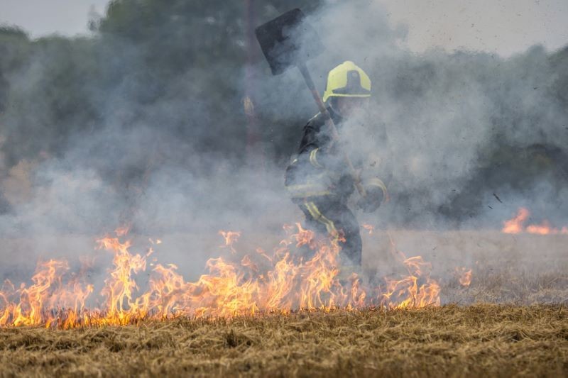 Main image for Barnsley’s burning
