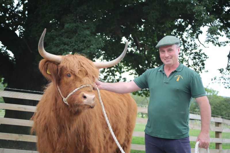Main image for Farmer steps into Yorkshire Show ring