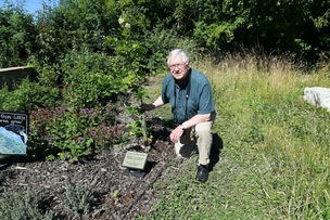 Main image for Plaque unveiled at nature reserve