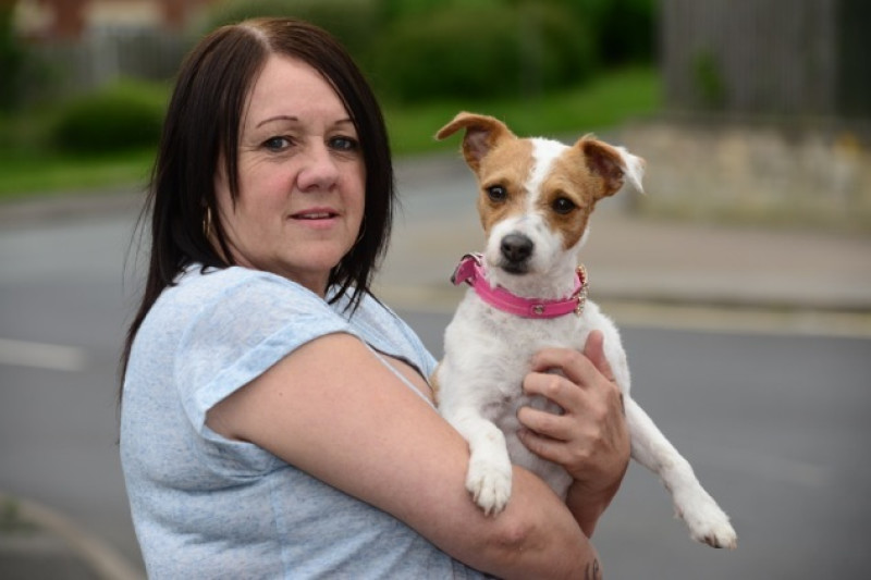 Main image for Family hit out at police over dog attack