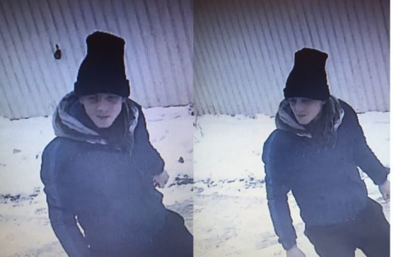 Main image for CCTV images released following theft