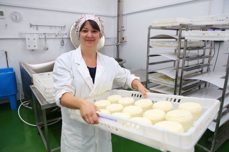 Main image for Business getting feta for cheesemaker