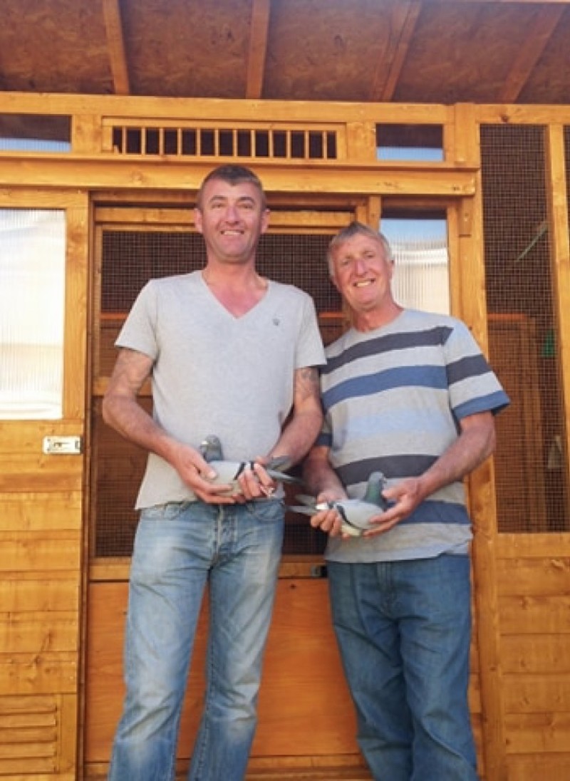 Main image for Ex-miner helps organise pigeon race