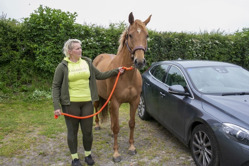 Horse Awareness: Sarah Green hopes the message will get out to motorists to give horse and riders at least 2m space when passing at 10mph. picture Shaun Colborn PD092207