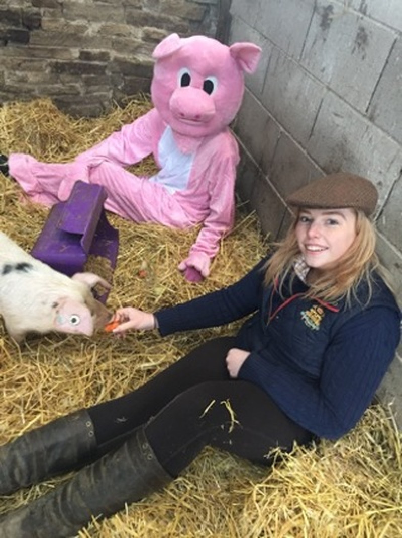 Main image for Pupils asked to name agricultural show