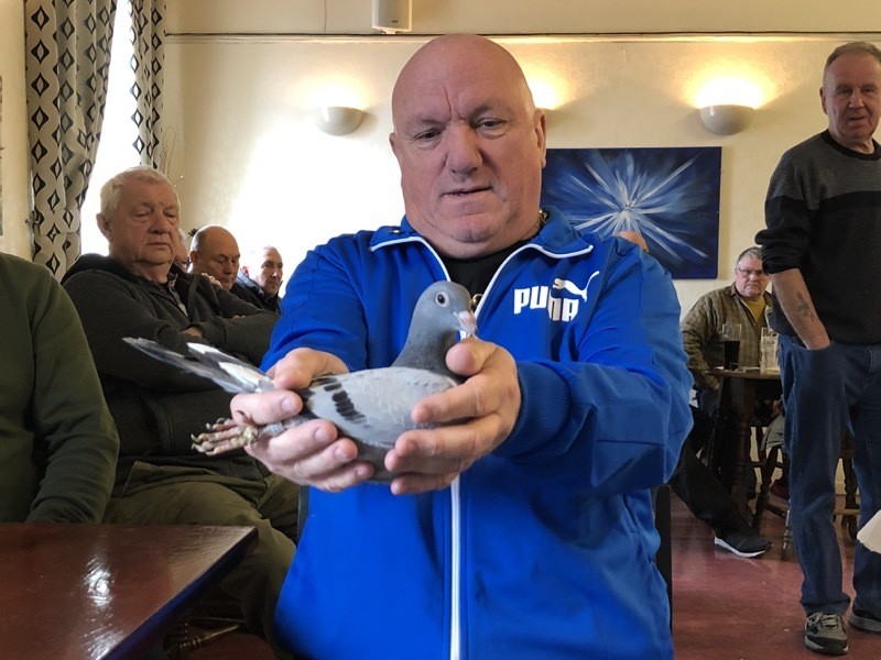 Main image for Historic pigeon club announce French trip