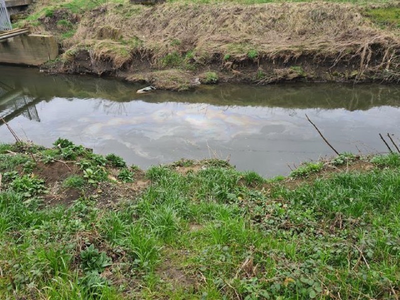 Main image for River Dearne’s oil leak probed