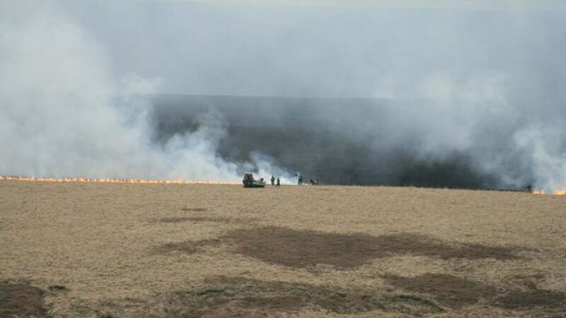 Main image for PSPO will protect fire-hit moorland