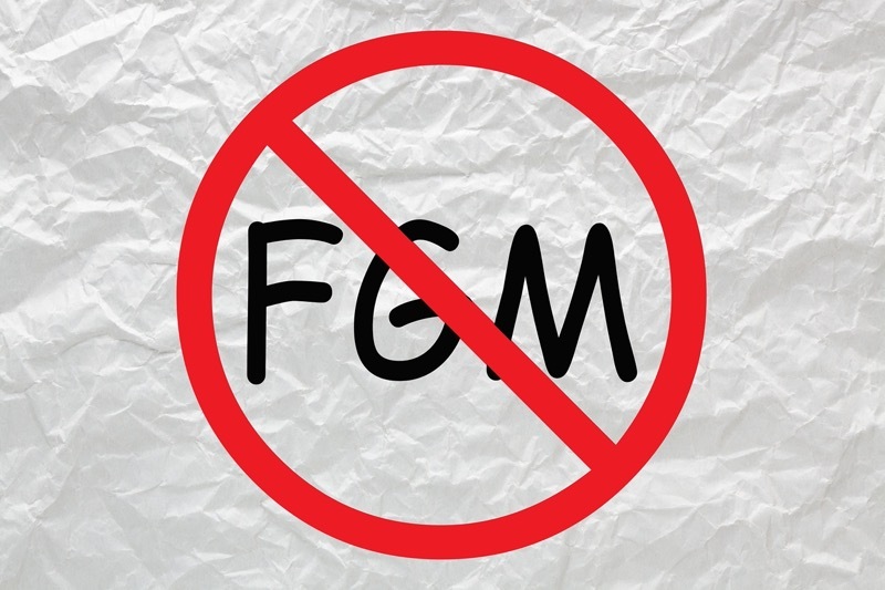 Main image for Vigilance plea over FGM