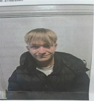 Main image for Police appeal for help in search for missing teen