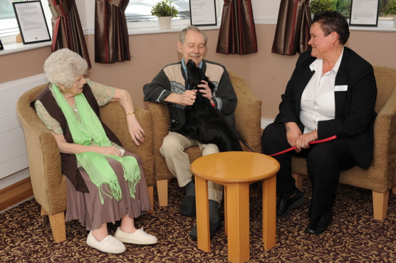 Main image for Holly is a firm favourite at care home