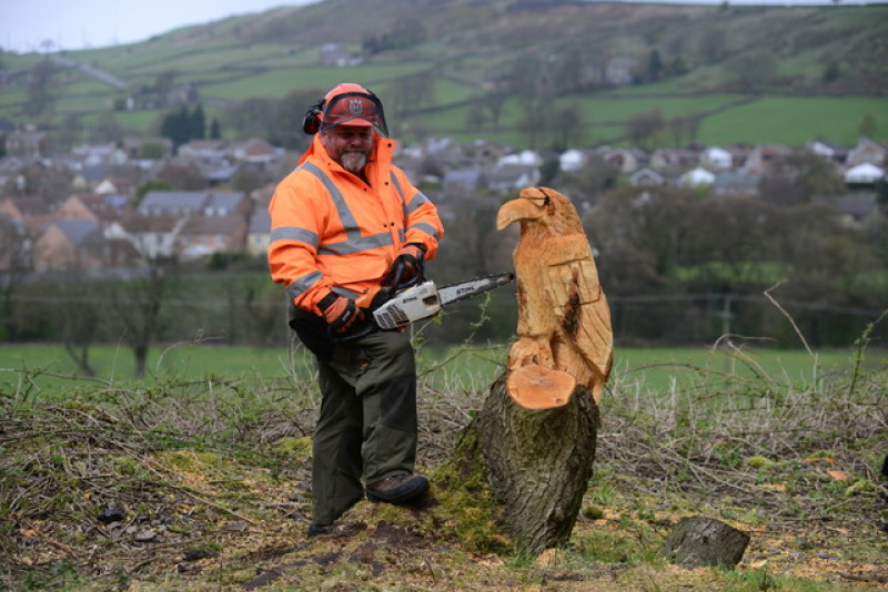 Main image for Chainsaw artist creates sculpture
