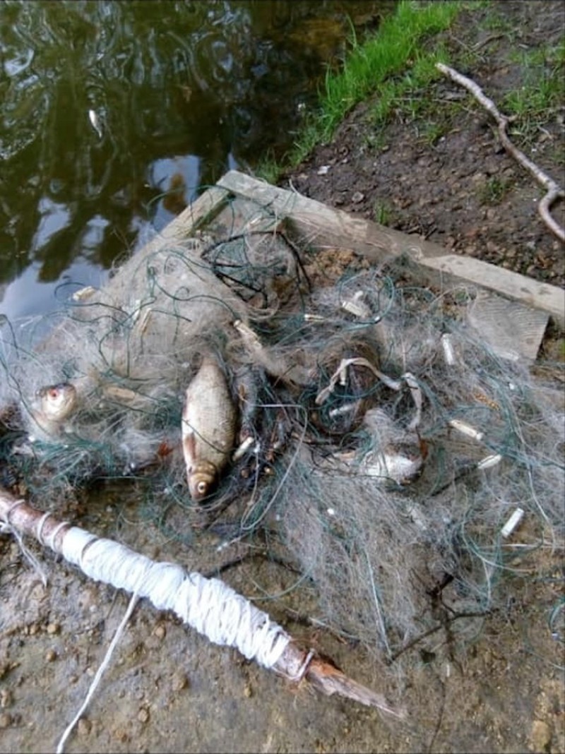 Main image for Poaching reported at popular fishing spot