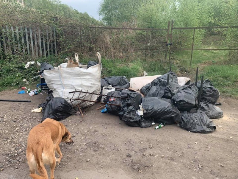 Main image for Fly-tipping spate irks Wombwell resident