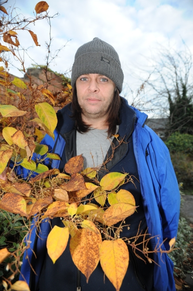 Main image for Knotweed problem 'could wipes thousands' off house prices