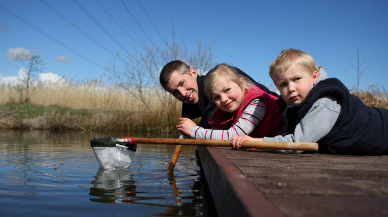 Main image for Pond dipping platform opens at Old Moor