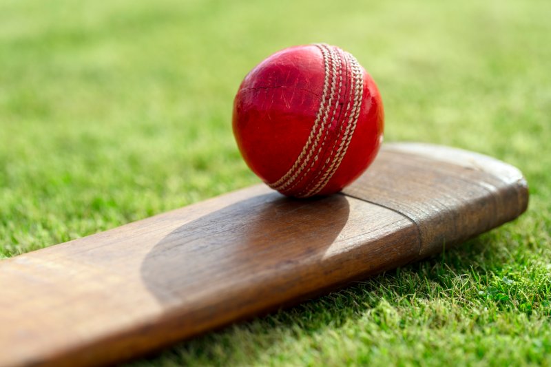 Cricket ball sat on a bat on the floor Stock Image